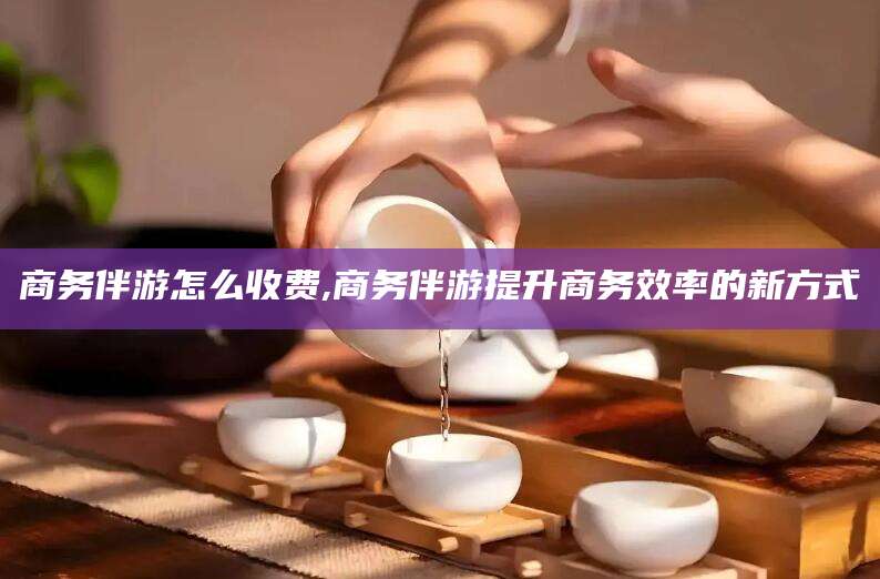 平邑商务伴游怎么收费,商务伴游提升商务效率的新方式